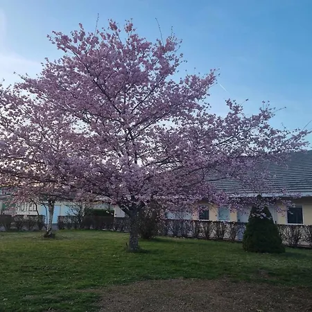The Originals Access, Le Lutea Hotel